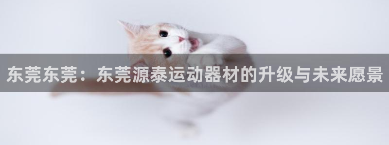 fb体育代理:东莞东莞:东莞源泰运动器材的升级与未来愿景