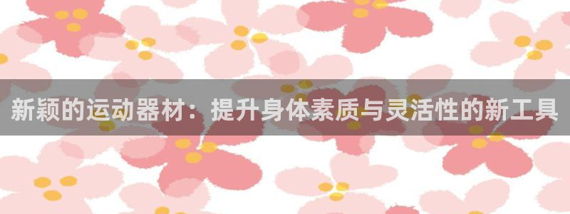 fb体育招商电话号码:新颖的运动器材:提升身体素质与灵活性的