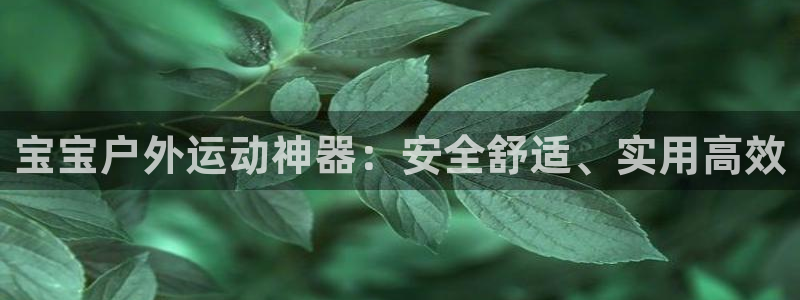 fb平台体育:宝宝户外运动神器:安全舒适、实用高效